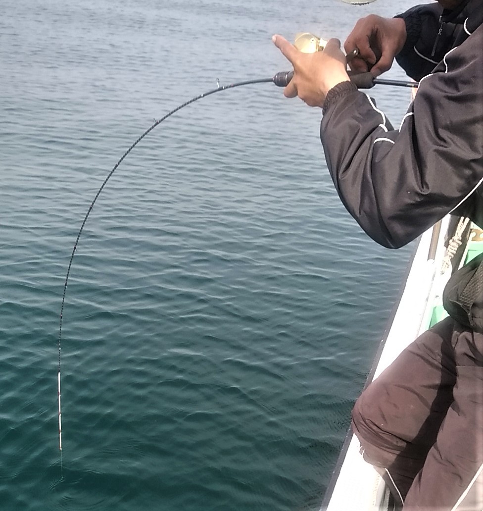 素材の形状別 タイラバロッドの選び方 ソリッドティプ フルソリッド チューブラー 釣りclub カイト